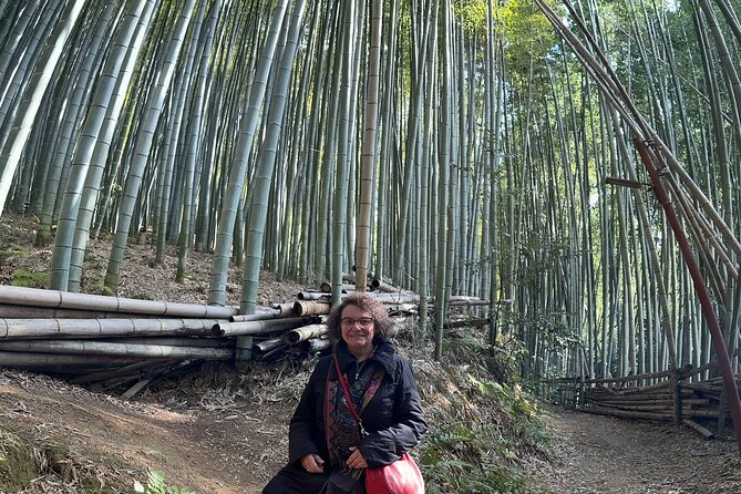 Kyoto Private Tour with Customized Itinerary - Private Kyoto, built around your interests