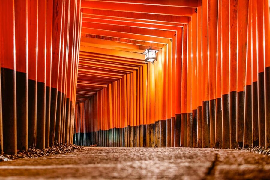 Kyoto: Private tour with Kyoto's licensed guide. Spanish - Nijo Castle and Tokugawa Power: Reading Edo-Era Japan