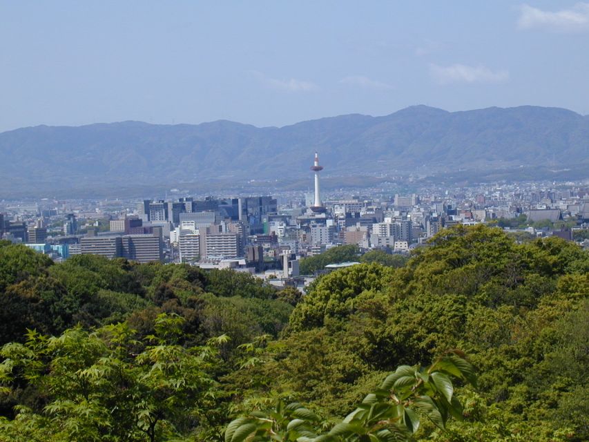 Kyoto: Private Tour with Local Licensed Guide - Quick hits you should care about