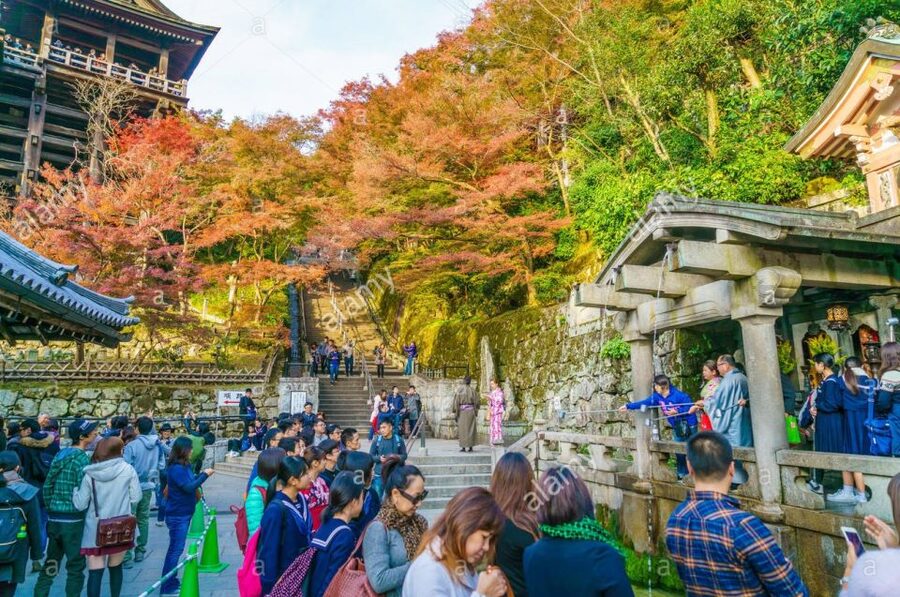 Kyoto: Private Tour with Local Licensed Guide - Kyoto’s Highlights, With a Licensed Guide Who Keeps You Moving