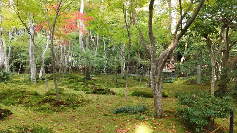 Kyoto:Quiet Arashiyama and Sagano Temples - Key highlights you will feel right away