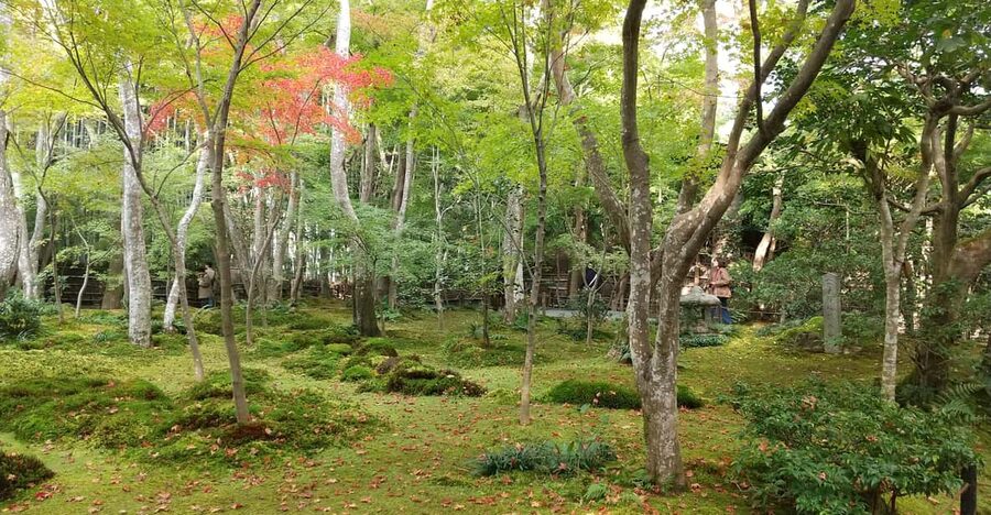 Kyoto:Quiet Arashiyama and Sagano Temples - Start at JR Saga-Arashiyama, not the other stations
