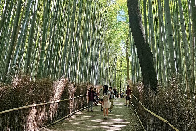 Kyoto's Arashiyama Bamboo Grove: 3-Hour Guided Tour - Key things that make this tour worth it