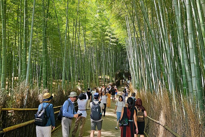 Kyoto's Arashiyama Bamboo Grove: 3-Hour Guided Tour - Guides and pacing: why the people matter as much as the route