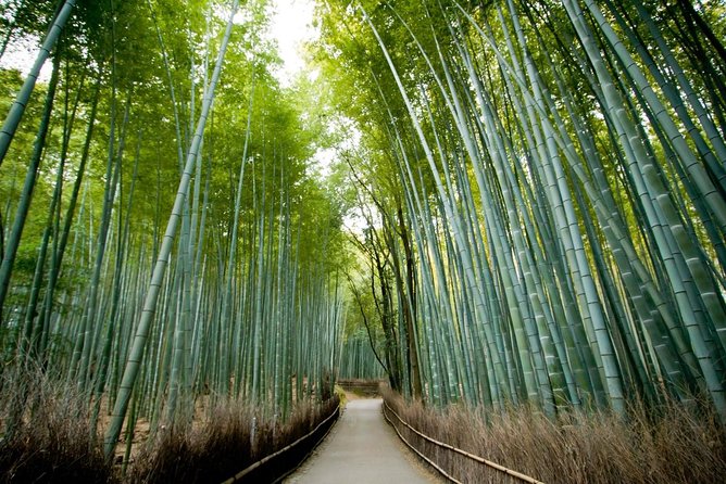 Kyoto Sagano Insider: Rickshaw and Walking Tour - Quick Takes Before You Go