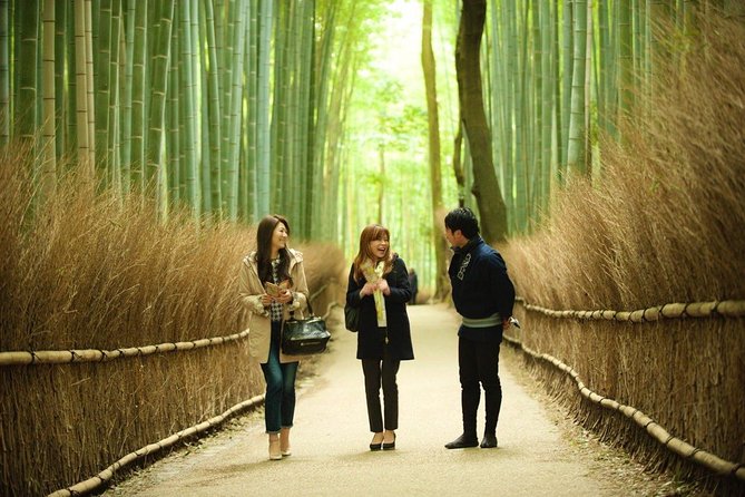 Kyoto Sagano Insider: Rickshaw and Walking Tour - Why a Private Rickshaw Beats the Bamboo-Path Chaos