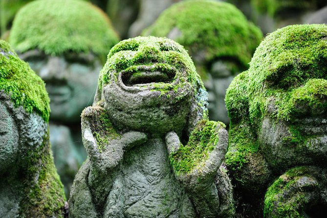 Kyoto Sagano Insider: Rickshaw and Walking Tour - How Your Driver and Guide Make It Feel Effortless