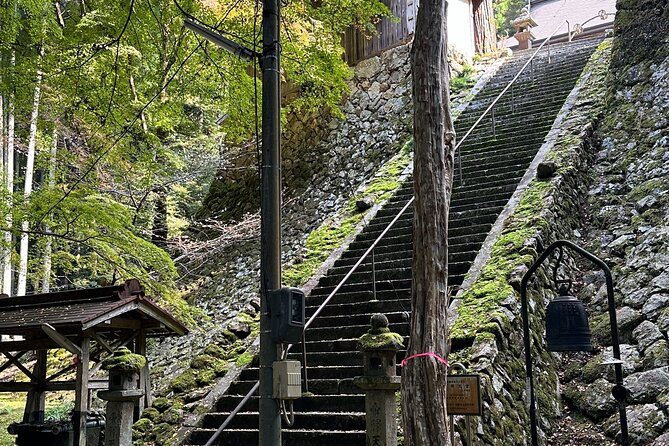 Kyoto Satoyama Cycling with Lunch and English guide - Price and value: what $97.55 buys you in the real world