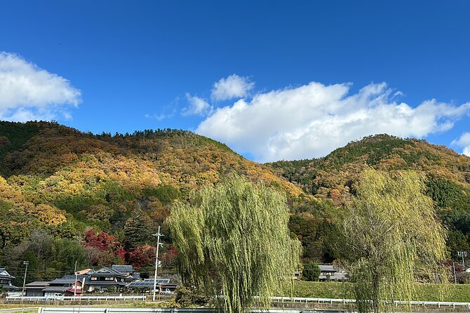 Kyoto Satoyama Cycling with Lunch and English guide - Logistics that matter: timing, meeting point, and how hard the day feels