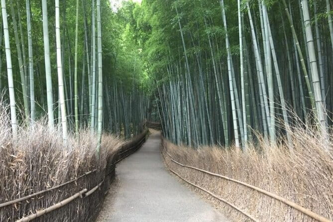 Kyoto Shogun Cycling Tour - The cycling part: what the ride feels like in real life