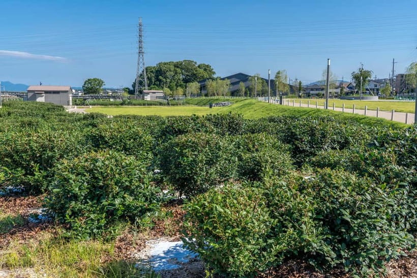Kyoto: Tea Museum Tickets and Matcha Grinding Experience - The 2:45 p.m. Summer-Only Ice Cream Moment