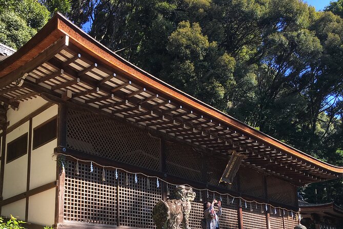 Kyoto tea town for matcha lovers - Lunch at a tea house with tea dishes