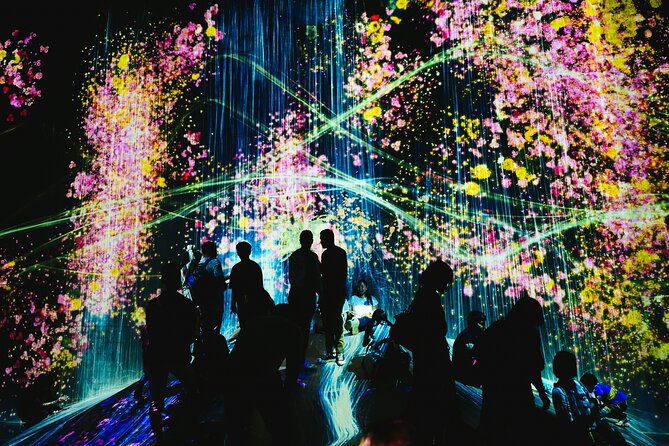 Kyoto TeamLab Biovortex & Kyoto Walking Tour - Key points before you go
