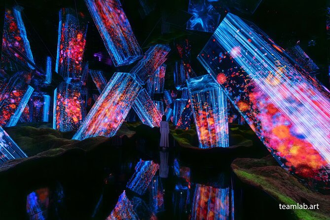 Kyoto TeamLab Biovortex & Kyoto Walking Tour - teamLab Kyoto Biovortex: a sensory room built around body and nature