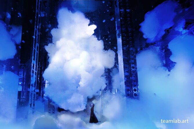 Kyoto TeamLab Biovortex & Kyoto Walking Tour - How the included transportation and bilingual guide help you actually enjoy it
