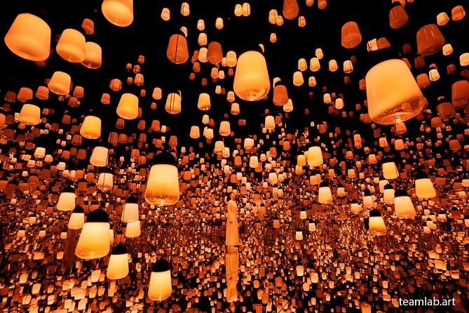 Kyoto TeamLab Biovortex & Kyoto Walking Tour - Price and value: what $72 covers, and what you still need to budget