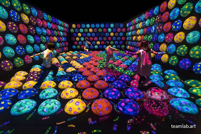 Kyoto TeamLab Biovortex & Kyoto Walking Tour - Who should book this tour