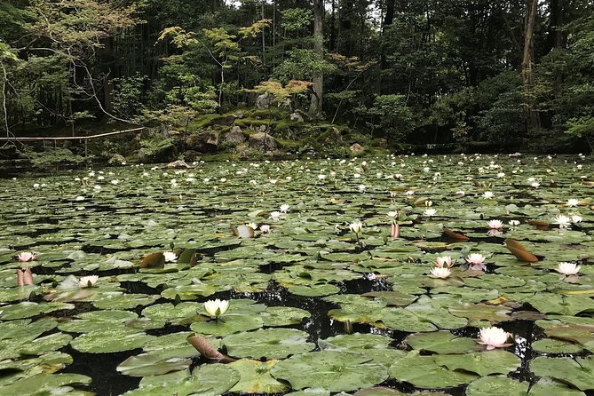 Kyoto: The Path Less Traveled (Private) - A calmer Kyoto route built for people who hate crowds