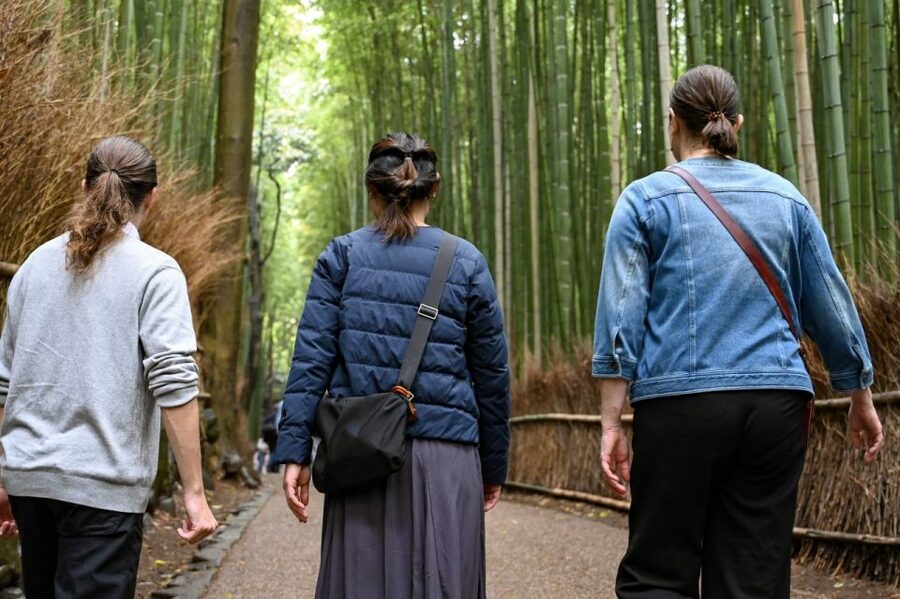 Kyoto to Arashiyama Day Trip - Private & Personalized - Tenryū-ji Temple and the garden time you’ll actually feel