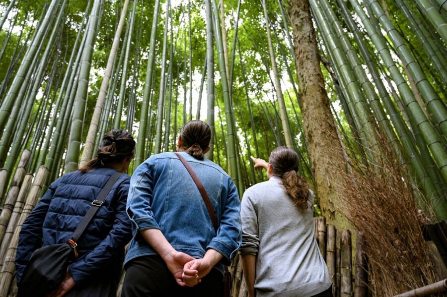 Kyoto to Arashiyama Day Trip - Private & Personalized - Bamboo Grove walking, plus options for a river and temple detour