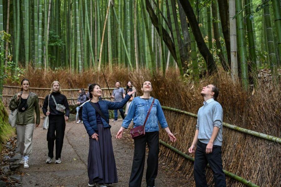 Kyoto to Arashiyama Day Trip - Private & Personalized - Meeting at Mister Donut, then getting your personal route
