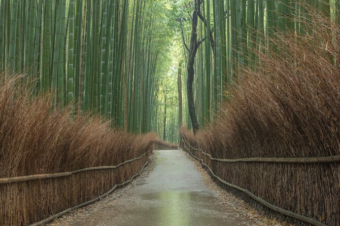 Kyoto top must-see Golden pavilion and Bamboo forest half-day Private tour - The “4 Stops That Make Kyoto Make Sense” plan
