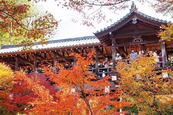 Kyoto tour 12 hours Private Nagoya pick up available - Price and value: what $1,172.75 per group buys