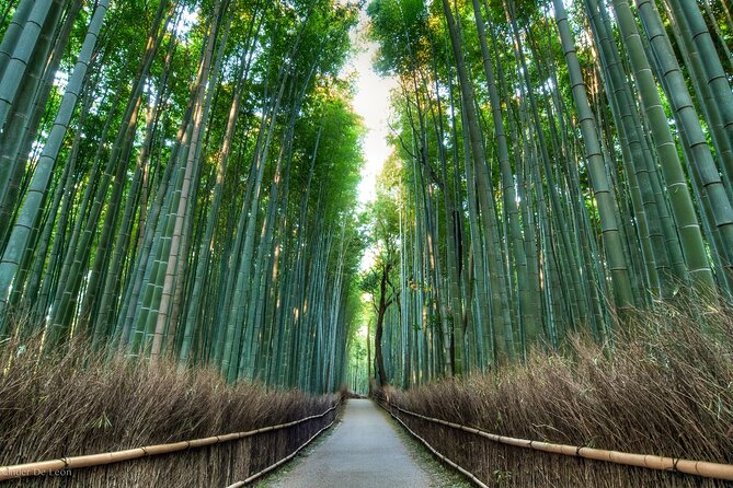 Kyoto tour with English Speaking Chauffeur - Golden Pavilion at Kinkakuji: one ticket stop that’s worth planning for