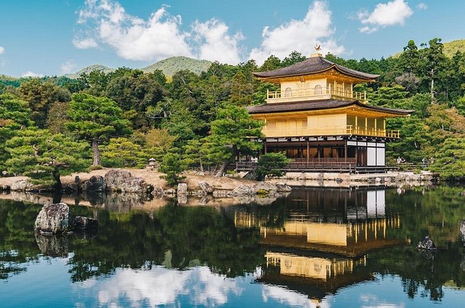 Kyoto tour with English Speaking Chauffeur - Nishiki Market and food shopping with a car waiting