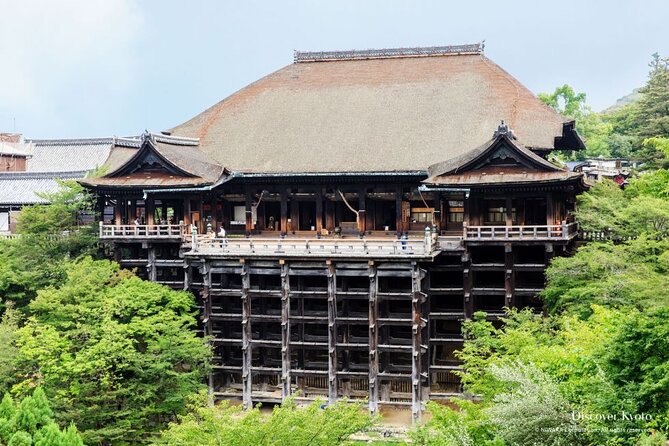 Kyoto tour with English Speaking Chauffeur - Arashiyama: Togetsukyo Bridge and bamboo paths without the stress