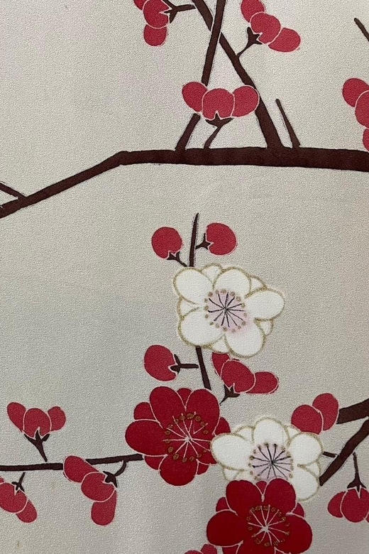 Kyoto: Traditional Yuzen Dyeing Experience - Who should book this Kyoto Yuzen dyeing class