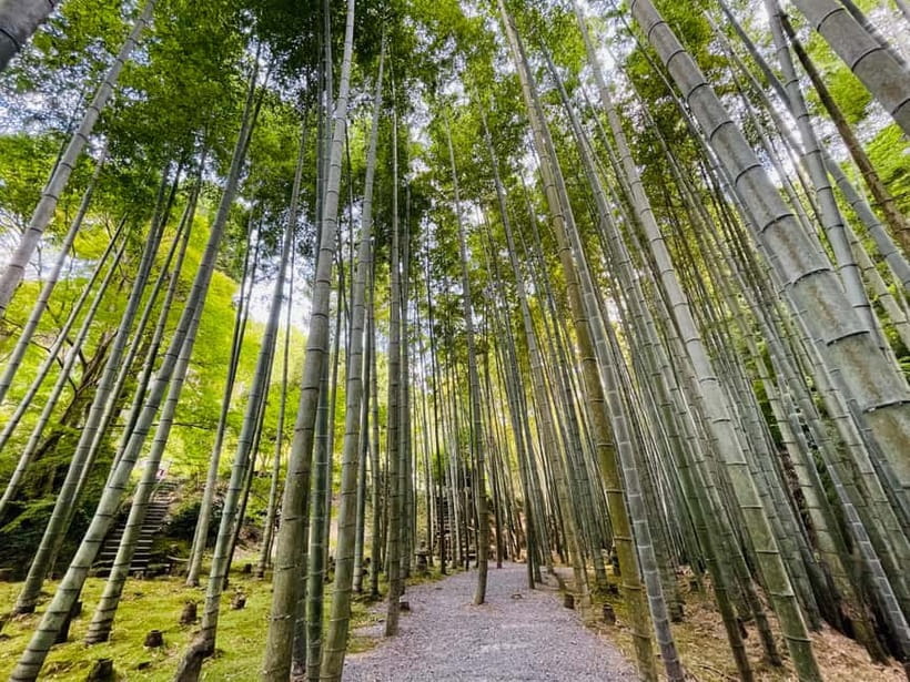 Kyoto : True Kyoto Avoid the crowds E-Bike Tour - E-Bike Pace in Kyoto: Relaxed Riding, Safe Roads, Real Breathing Room