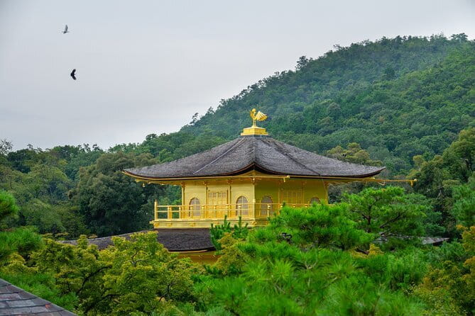 Kyoto & Uji: Full Day Sightseeing Tour from Osaka or Kyoto - A 9-Hour Kyoto and Uji Mix That Feels Efficient
