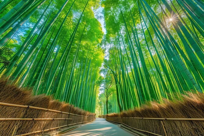 Kyoto & Uji: Full Day Sightseeing Tour from Osaka or Kyoto - Byodo-in Phoenix Hall: The Main Ticketed Moment in Uji
