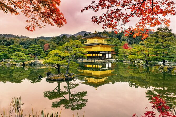 Kyoto & Uji: Full Day Sightseeing Tour from Osaka or Kyoto - How the Tour Works on the Ground: Comfort, Time, and Small Details