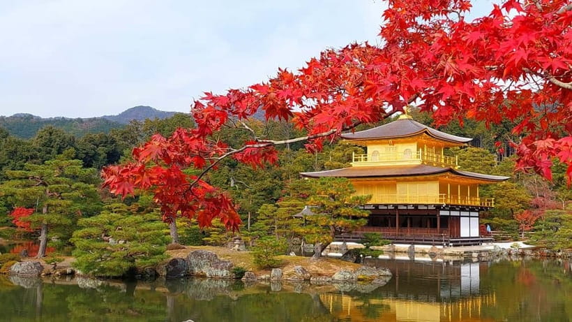 Kyoto UNESCO World Heritage Sites 1d Tour from Osaka/Kyoto - Key Highlights That Make This Kyoto Day Trip Work