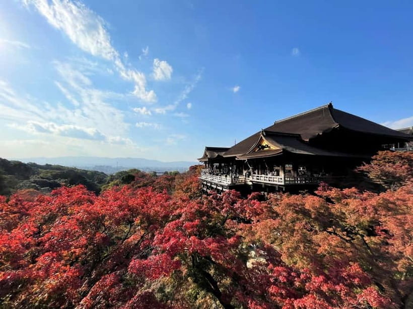 Kyoto UNESCO World Heritage Sites 1d Tour from Osaka/Kyoto - The Big Idea: UNESCO Kyoto in One Coordinated Day