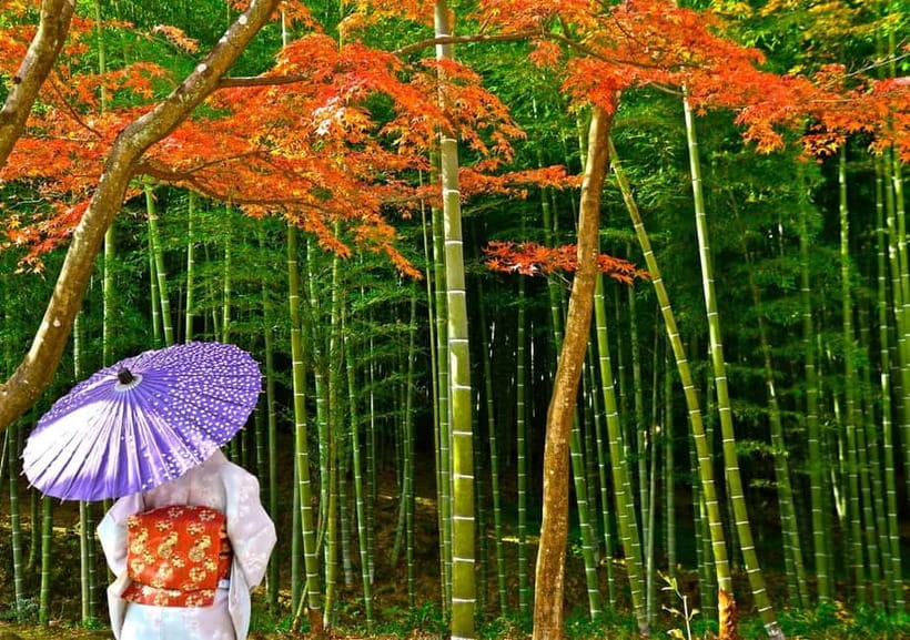 Kyoto UNESCO World Heritage Sites 1d Tour from Osaka/Kyoto - Kinkaku-ji Golden Pavilion and the Mirror Pond Photo Moment