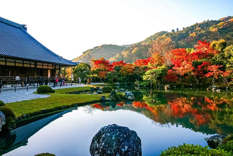 Kyoto UNESCO World Heritage Sites 1d Tour from Osaka/Kyoto - Arashiyama Bamboo Grove: More Than a Photo Stop