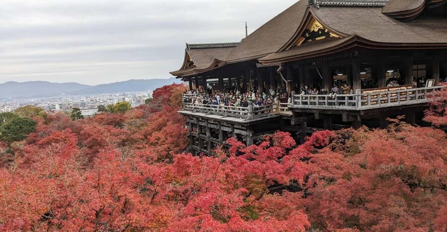 Kyoto: Walking tour Kiyomizu, Geisha District with a Local - Meeting your guide near Shijo Bridge, then slipping off the busy roads