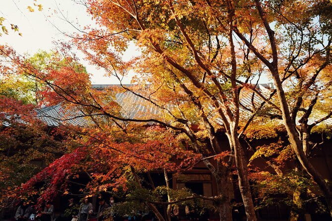 Luxury Classic Kyoto Day Tour - Private Customized Car Tour - Nishiki Market: Kyoto’s Kitchen for quick snacks and real browsing