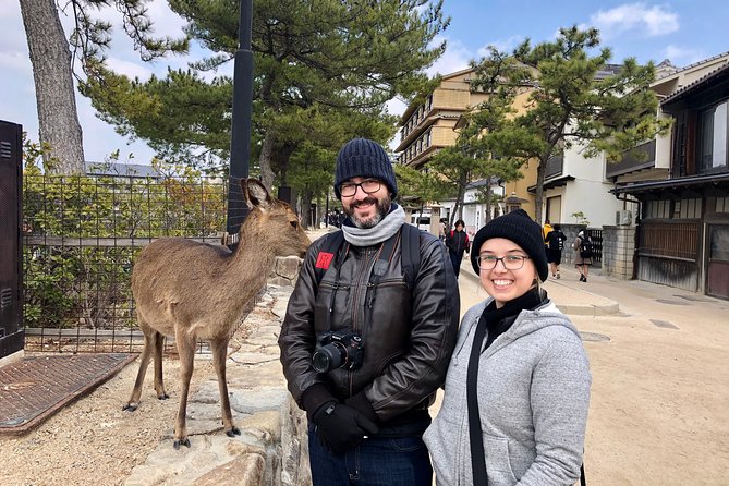 Nara 6hr Private Tour with Government-Licensed Guide - The 6-hour format: 3-4 stops, with realistic pacing
