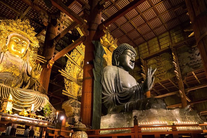 Nara 8hr Private Tour - Kyoto DEP. with Licensed Guide - Kasuga Taisha and Wakakusayama Hill, where the mood changes