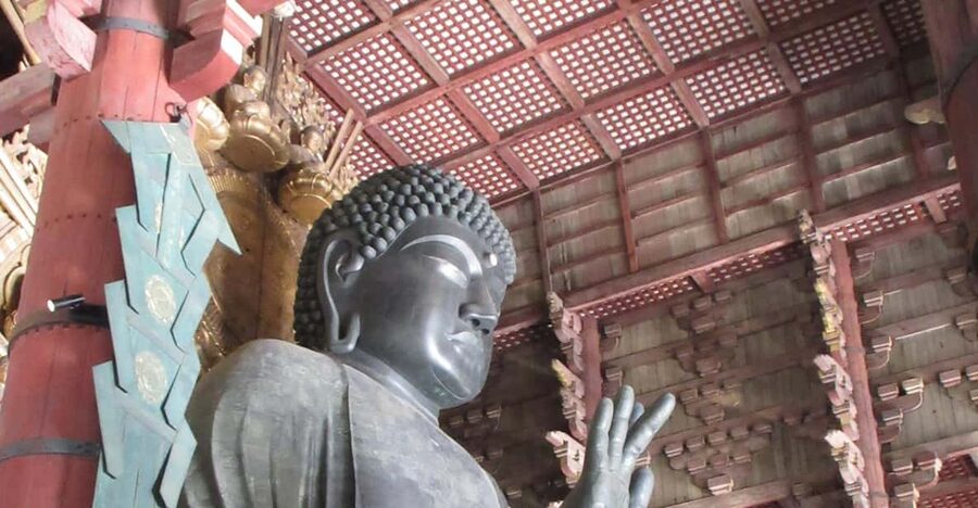 NARA: Budda gigante, Cervi liberi nel parco (Guida italiana) - A Half-Day Nara Trip That Feels Like a Smart First Taste