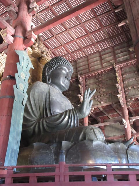 NARA: Budda gigante, Cervi liberi nel parco (Guida italiana) - The Train and Bus Ride: How Transportation Shapes the Experience