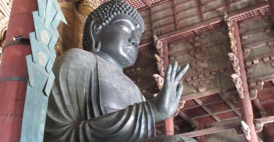 NARA: Budda gigante, Cervi liberi nel parco (Guida italiana) - Price and Value: Is $153 for Five Hours Worth It?