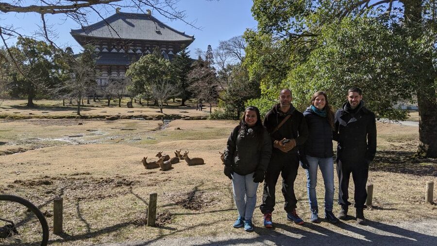 Nara: City Highlights Shared Group or Private Bike Tour - Ukimido to Nara Park: Easy Rolling, Real Atmosphere