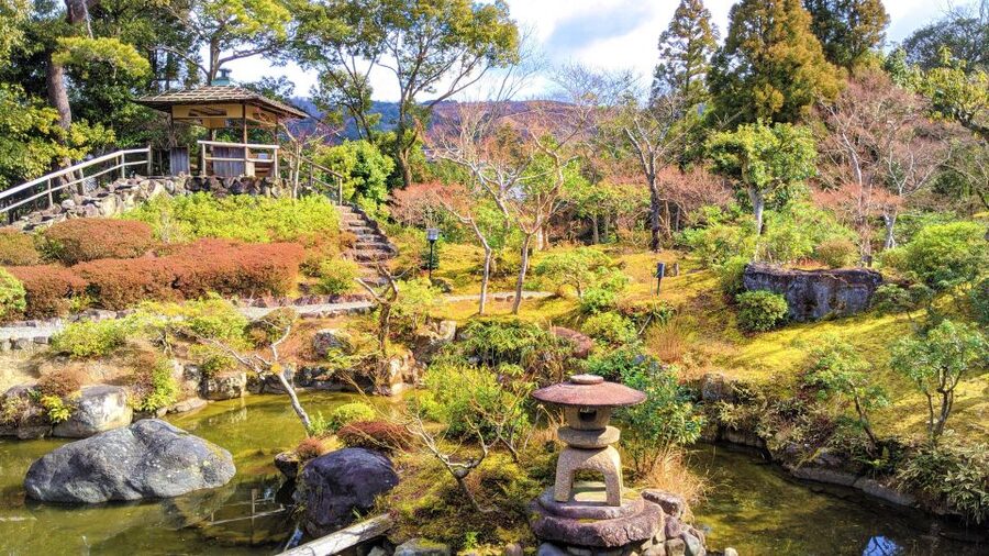 Nara: City Highlights Shared Group or Private Bike Tour - Getting Started Near Toichi Shougakko (Plan Your Arrival)