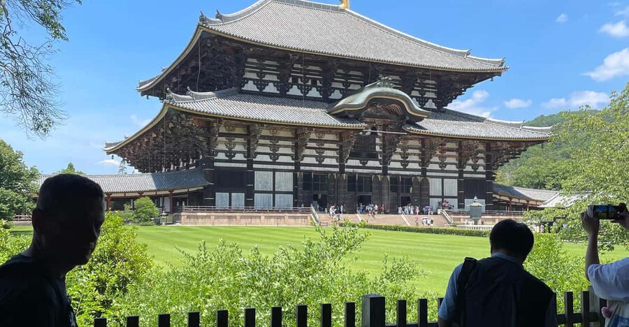 Nara City Tour | Explore Temples, Park & Local Highlights - Nara Park deer feeding and photos: fun, but follow the rules