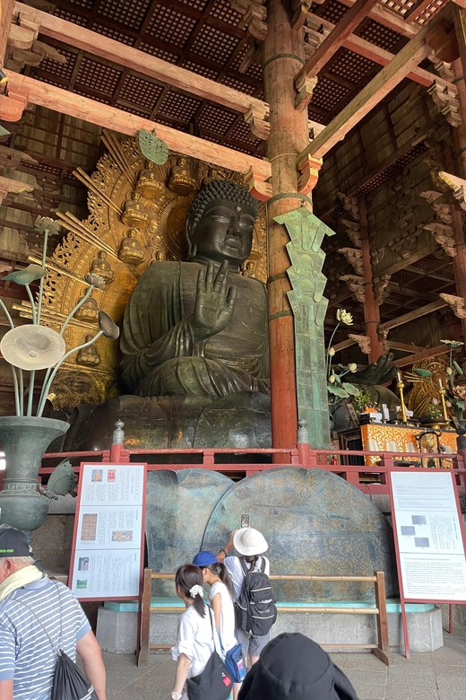 Nara City Tour | Explore Temples, Park & Local Highlights - Walking between sights: why the short segments work